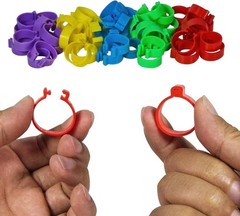 Durable 20mm Poultry Leg Bands – 50 Pack with 5 Vibrant Colors for Easy Sorting