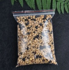100 Pack 8×12 Inch Clear Reclosable Zipper Bag Plastic Poly Zip Lock Bags 2Mil