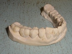 Plaster Lower Jaw Denture Cast for False Teeth Prop Creepy Decor