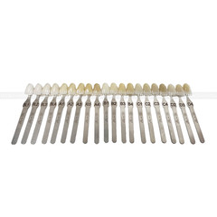 USA Dental Teeth Shade Guide Porcelain 20 Color A-D Tooth 4 Bleach Vivadent