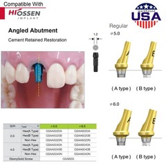 US 17° Angulated & Straight Transfer Abutment Fit Osstem/Hiossen Hex Titanium