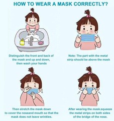 2000 Mask 3-Ply Adult Disposable Face Masks Earloop Breathable Bulk Case