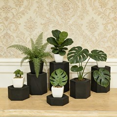 Wooden 6pcs Hexagon Risers for Display Jewelry And Additions Display Stand