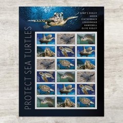 United States Postal Service Protect Sea Turtles 2024 2 Sheets Of 18