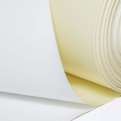10 Mil Crawl Space Vapor Barrier – Pure Guardian™ – 10′ x 100′ Roll, 1000 Sq Ft