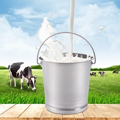 Stainless Steel Milk Pail Bucket with Lid Handle 8.5 Qt Milk Pail Stainless