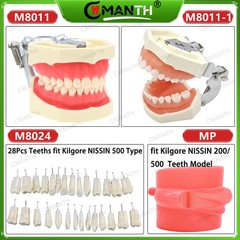 Multiple Types Dental Teeth Model Ortho Implant Practice Teaching Demo Model