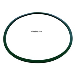 OEM Sterilizer Green Door Gasket For Tuttnauer 3870M/E/EA/EHS 3850M/E (02610019)