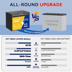 12V 100Ah LiFePO4 Lithium Battery Built-in BMS Cycle Deep for Solar RV Off-grid