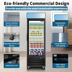 Commercial Reach in Freezer Glass Door Display Merchandiser Restaurant NSF 27″ W