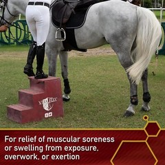 12 Ounce Horse Gel Liniment Cooling Warming Pain Relief MSM Acetone Free