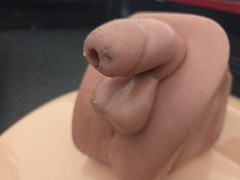 Pro Delphus Surgical Simulator For Urologic Procedures For Male & Female Anatomy