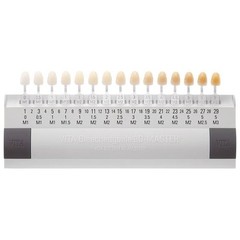Vita G361 Bleached 3D-Master Dental Shade Guide GX69-911