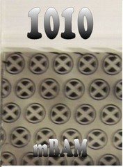 100 PACK SHERO2 125125 Apple Zip Baggies 1.25X1.25″ Mini POLYBAGS