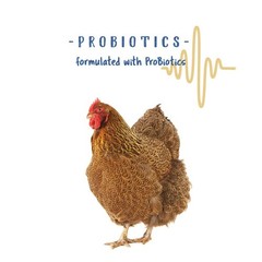 Manna Pro Chicken Grit with Probiotics – Crushed 5 Pound (Pack of 1), Clear