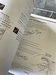 STENNER PUMP Classic Series Service Manual & Installation Booklet Repair
