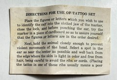 Vintage Stone Animal Tattoo Outfit Tattoo Digits