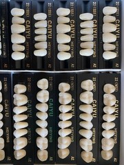 3 Complete Sets Acrylic Denture Teeth A1 A2 A3 A3.5 S M L X-L 84 In BOX