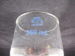 QUARK Glass 350mL 80mm Diameter Coarse C Fritted Buchner Filter Funnel B
