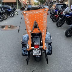 THIGHBRUSH® – NARANJA – Water Repellent Motorcycle Cover and Sunshade