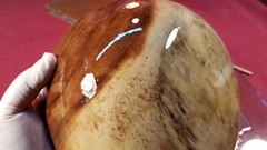 Epoxy Resin FDA Compliant Food Safe Clear Coating Casting 4 Wood & 3D Printed