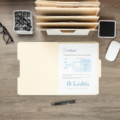 File Folders Letter Sized, 1/3-Cut Tab, Assorted Positions, Letter Size Manil…