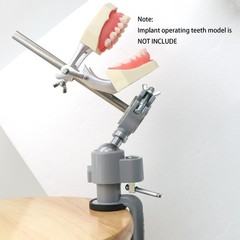 Kilgore NISSIN 200/500 Type Dental Typodont Model With Screw-in Removable Teeth