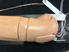 Gaumard Right Handed Training Arm Manikin
