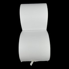 4×6 Direct Thermal Rolls Shipping Labels Rolls Zebra 2844 zp450 Eltron Zp 450