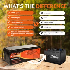 12V 300Ah Deep Cycle LiFePO4 Lithium Battery 200A BMS for RV Solar Boat Off-grid