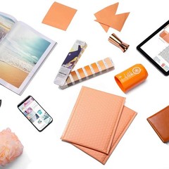 100 #0 6×10 Peach Poly Bubble Envelopes Padded Shipping Mailers 6″x10″