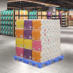 Blue Pp Pallet 50*30*10cm Pallet Free Standing Anti-slip particle Floor Pallet
