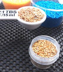 12 See Thru Plastic 1/2oz Jars Clear Screw Cap Specimen Container 3803 DecoJars
