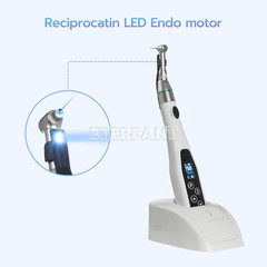 Dental 16:1/6:1/6.3:1 Endo Motor Contra Angle Root Canal/Apex Locator APEX-X