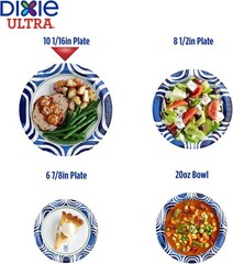 Dixie Ultra, Large Paper Plates, 10 Inch, 100 Count (Pack of 1, White/Indigo