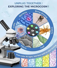 Compound Microscope – 100X-2000X High-Power Biological Microscope(White)