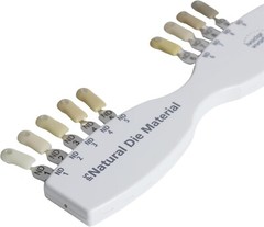 1X Dental IPS Natural Die Material Shade Guide Ivoclar Vivadent ND1-9 Abutment