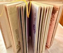 Beautifully Illustrated Chinese Blank Journal CL85301