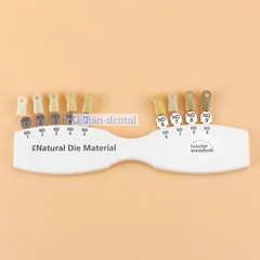 1X Dental IPS Natural Die Material Shade Guide Ivoclar Vivadent ND1-9 Abutment