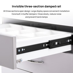 Dental Cart Cabinet Trolley /LED Electric Micro Motor Brushless /1:5 Handpiece