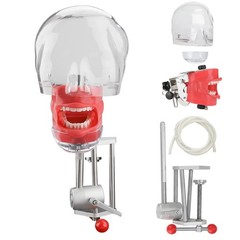 Dental Typodont Teeth Model Dental Simulator Dental Mannequin Implant Head Model