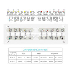 10 Sets AZ Dental Orthodontic Brackets Braces Standard Roth.022 Hooks 3-4-5