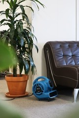 XPOWER P-80A 1/8 HP Mini Air Mover Carpet Dryer Blower Floor Fan w/ Dual Outlet