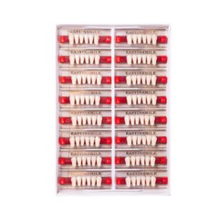 Dental False Teeth At Home Tooth Replacement Acrylic Resin Teeth Shade A1/A2/A3