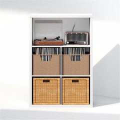Pemberly Row 5-Cube Engineered Wood Media Storage Organizer in White