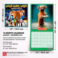 Avanti Dogs Gone Wild OFFICIAL | 2027 12×24″ (Hanging) Square Wall Calendar