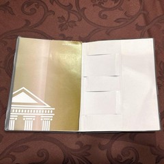 Etrange di Costa Rica B6 Lizard Leather Book Cover Anime Collectible New