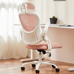 Home Office Computer Desk Chair Ergonomic High-Back Mesh Rolling Work Task Chair