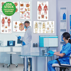 12 Human Anatomy Posters Laminated Medical Biology Health Classroom 18X30
