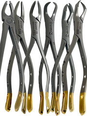 Premium German Dental Tooth Extracting Forceps Extraction Dental Instruments